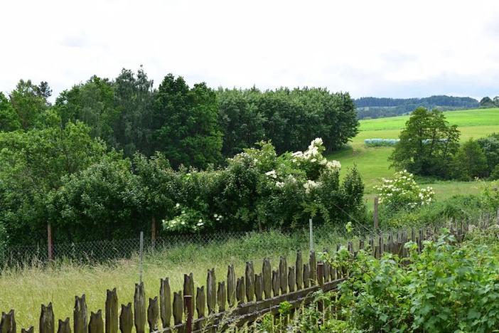 Prodej rodinného domu, Čestice, 320 m2