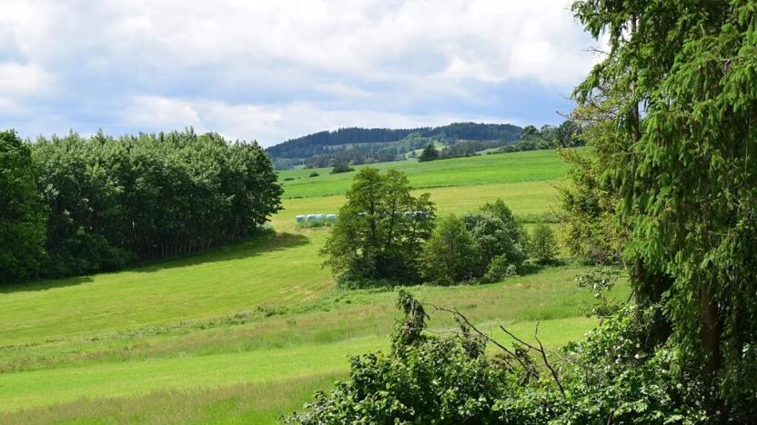 Prodej rodinného domu, Čestice, 320 m2