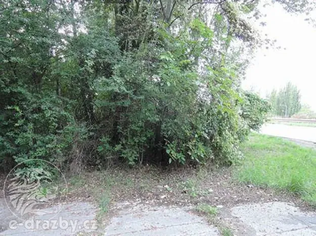 Dražba lesa, Kladno, 2465 m2