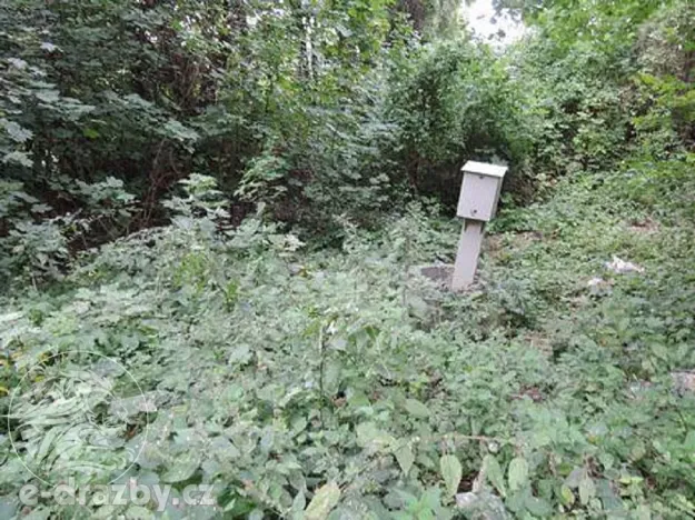 Dražba lesa, Kladno, 2465 m2