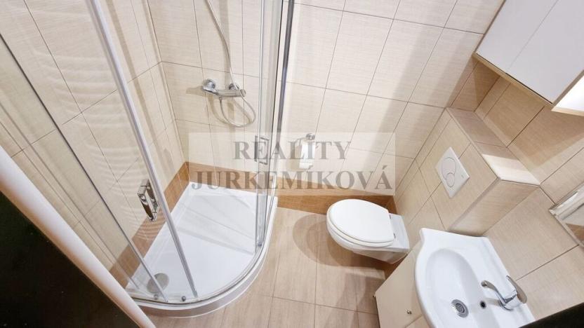 Prodej bytu 1+1, České Budějovice - České Budějovice 3, Riegrova, 25 m2