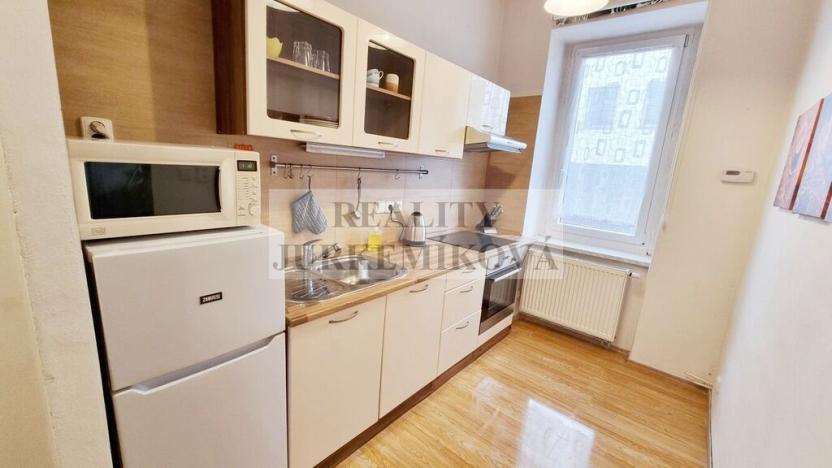 Prodej bytu 1+1, České Budějovice - České Budějovice 3, Riegrova, 25 m2