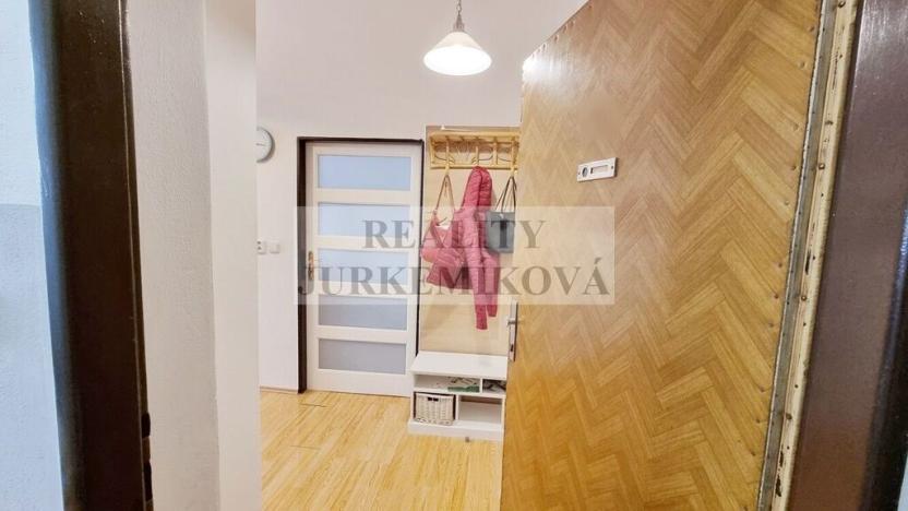 Prodej bytu 1+1, České Budějovice - České Budějovice 3, Riegrova, 25 m2