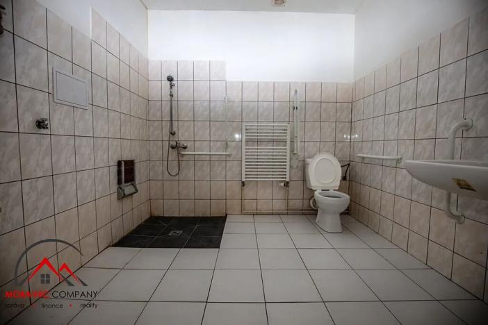 Pronájem bytu 1+kk, Třemešná, 40 m2