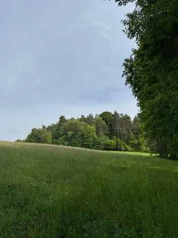 Prodej louky, Český Dub, 58420 m2