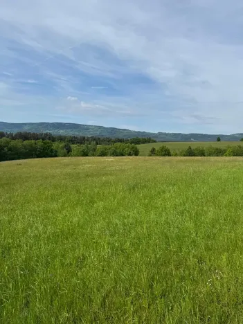 Prodej louky, Český Dub, 58420 m2