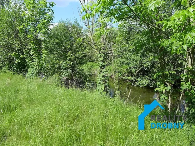 Pronájem zahrady, Malá Veleň, 3534 m2