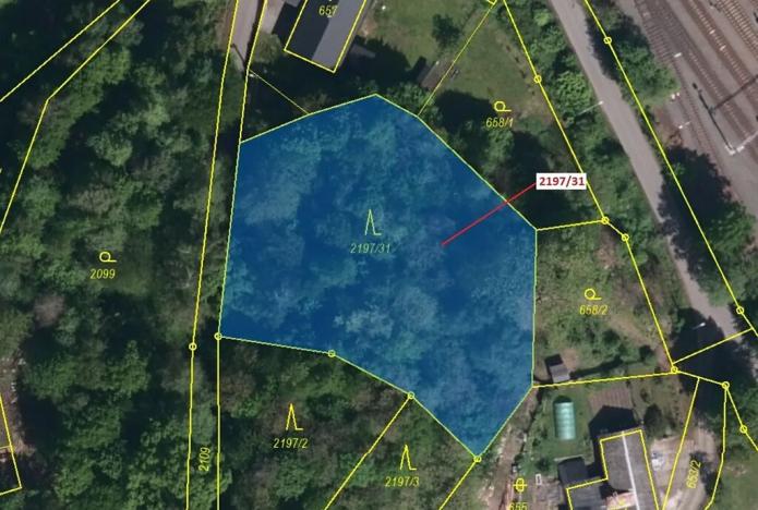 Dražba lesa, Karviná, 1999 m2