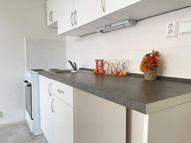 Pronájem bytu 1+1, Litvínov, Školní, 35 m2