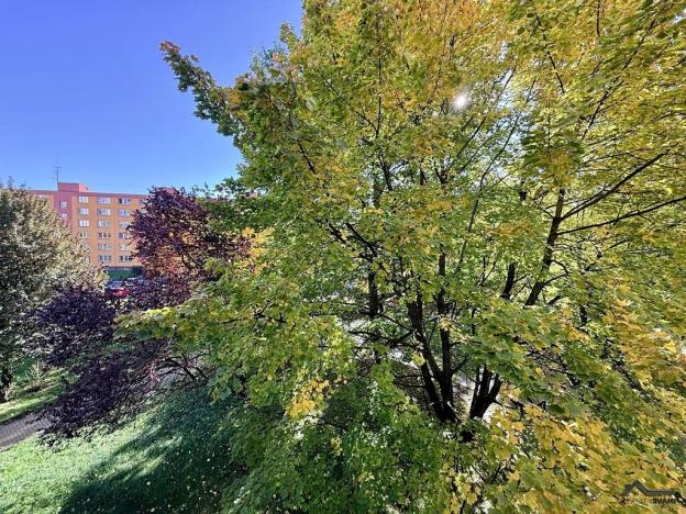 Pronájem bytu 3+1, Ostrava, Antonína Poledníka, 65 m2