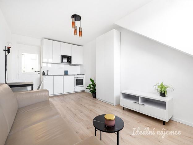 Pronájem bytu 1+kk, Praha - Nusle, Petra Rezka, 23 m2