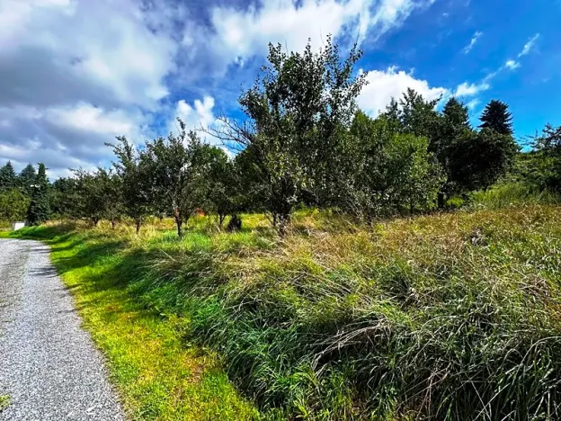 Prodej pozemku pro bydlení, Životice u Nového Jičína, 2065 m2