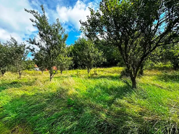 Prodej pozemku pro bydlení, Životice u Nového Jičína, 2065 m2