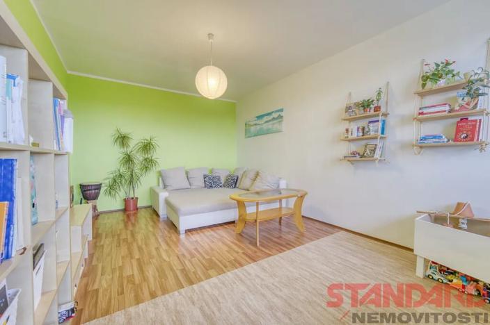 Prodej bytu 2+1, Plzeň, Elišky Krásnohorské, 62 m2