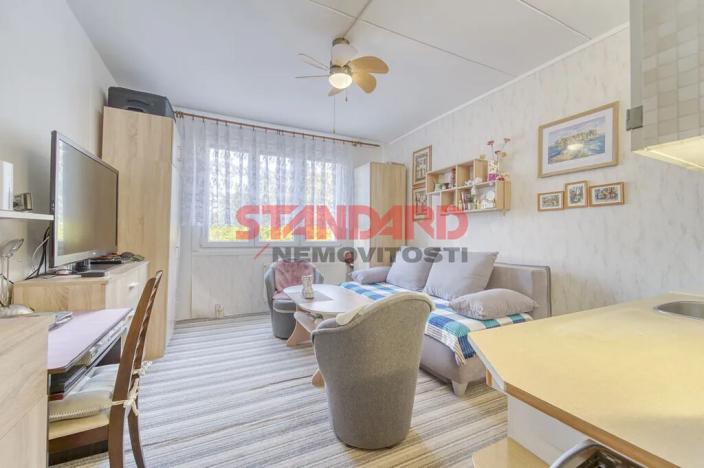 Prodej bytu 1+kk, Plzeň, Luďka Pika, 20 m2