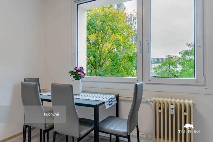 Prodej bytu 1+1, Plzeň, Komenského, 36 m2