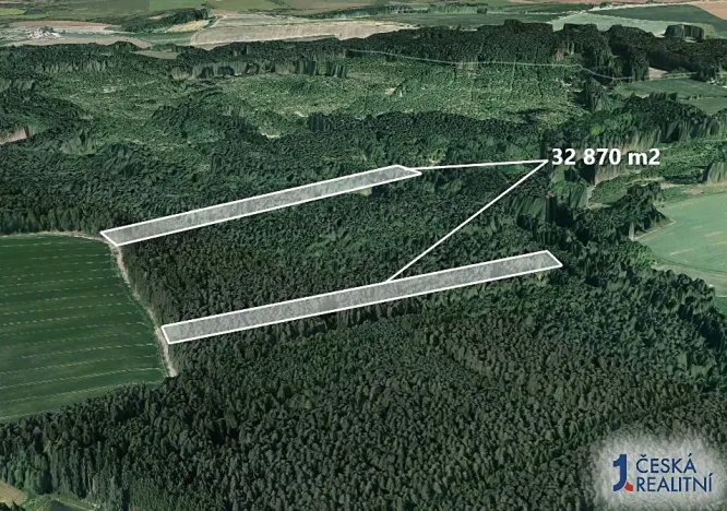 Prodej lesa, Chrbonín, 32870 m2