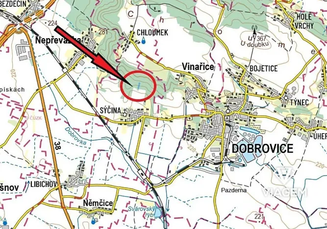 Prodej lesa, Dobrovice, 3778 m2