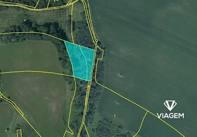 Prodej podílu lesa, Dvorce, 996 m2