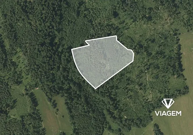 Prodej lesa, Spálov, 19116 m2