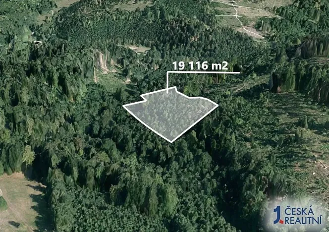 Prodej lesa, Spálov, 19116 m2