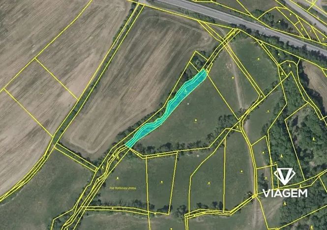 Prodej podílu lesa, Sobotka, 1141 m2