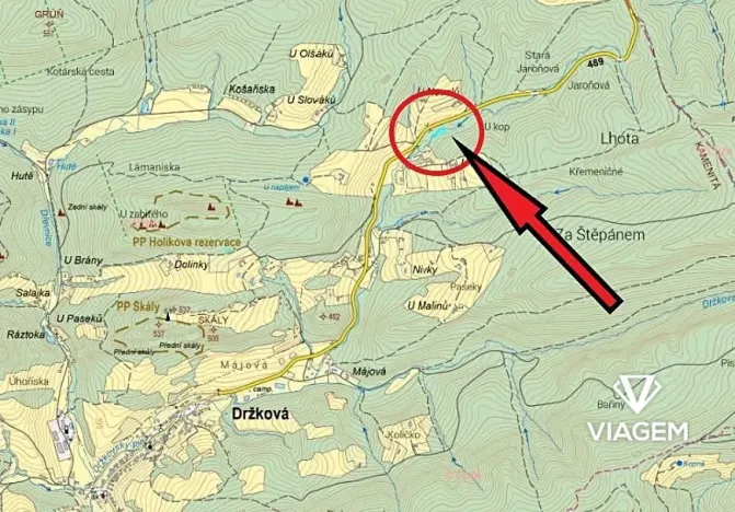 Prodej lesa, Držková, 1954 m2