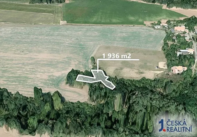 Prodej lesa, Katusice, 1936 m2