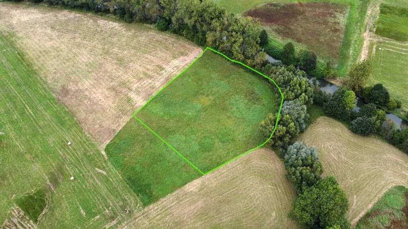 Prodej louky, Šestajovice, 3641 m2