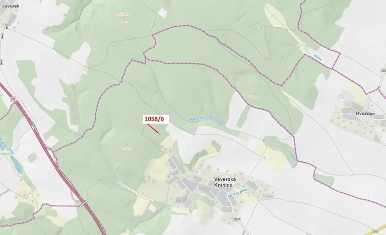 Dražba lesa, Veverské Knínice, 77 m2