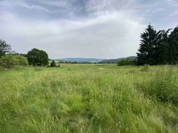 Dražba louky, Bohumilice, 5491 m2