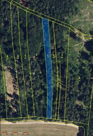 Prodej lesa, Ochoz, 1833 m2