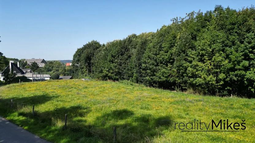 Prodej louky, Křižany, 2663 m2