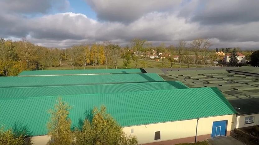 Dražba výrobních prostor, Studenec, 16378 m2