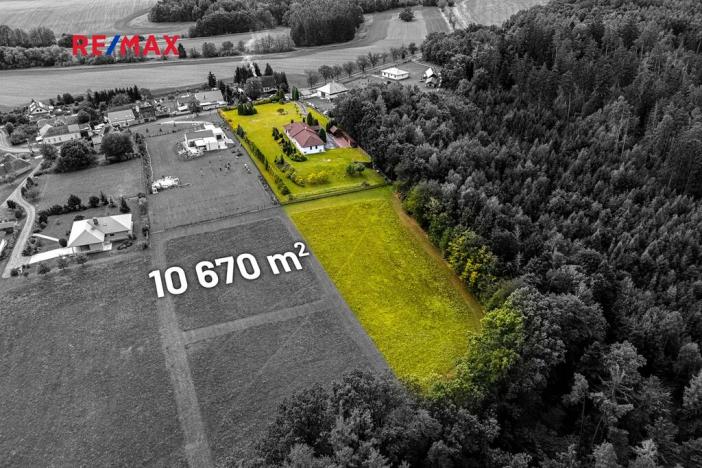 Prodej komerční nemovitosti, Pavlov, 245 m2