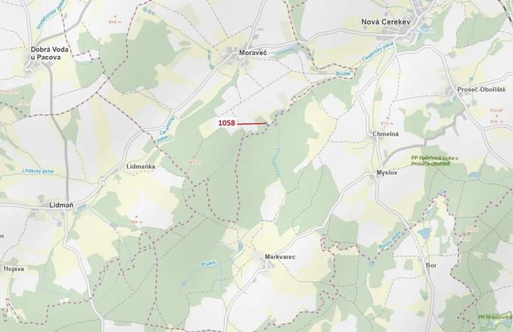 Dražba lesa, Moraveč, 2350 m2