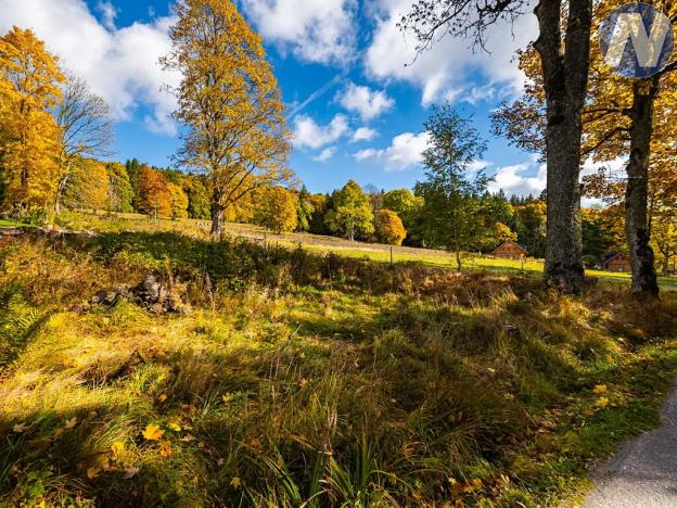 Prodej louky, Stožec, 6572 m2