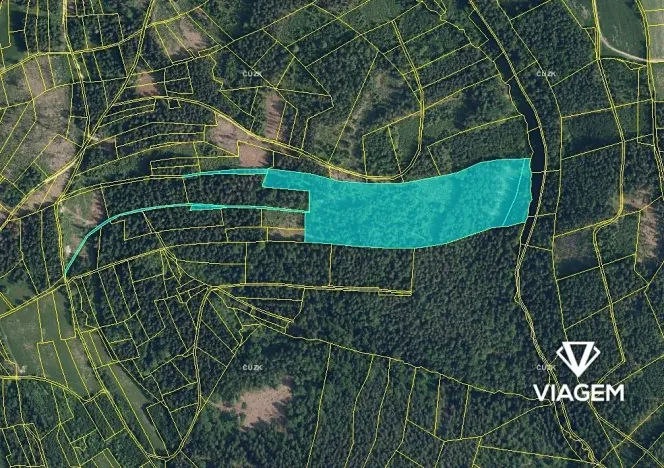 Prodej podílu lesa, Železný Brod, 23649 m2