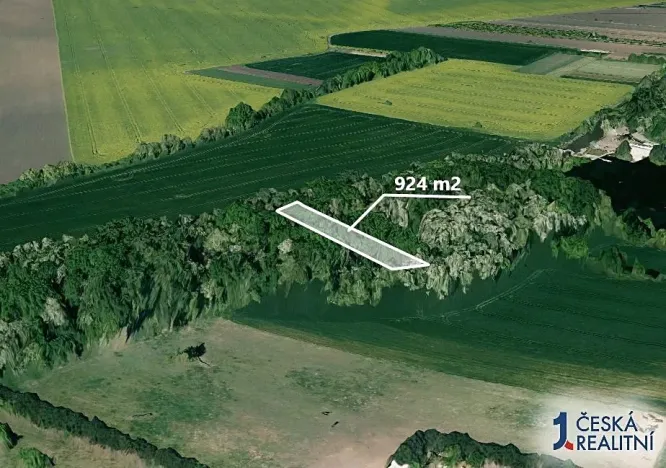 Prodej podílu lesa, Telnice, 462 m2