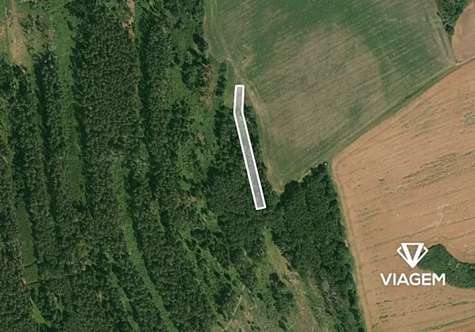 Prodej lesa, Blížejov, 1490 m2