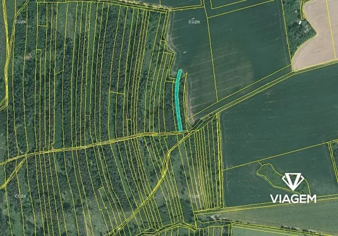 Prodej lesa, Blížejov, 1490 m2