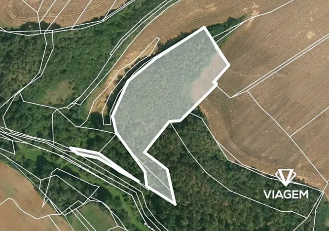 Prodej podílu lesa, Kaceřov, 4818 m2