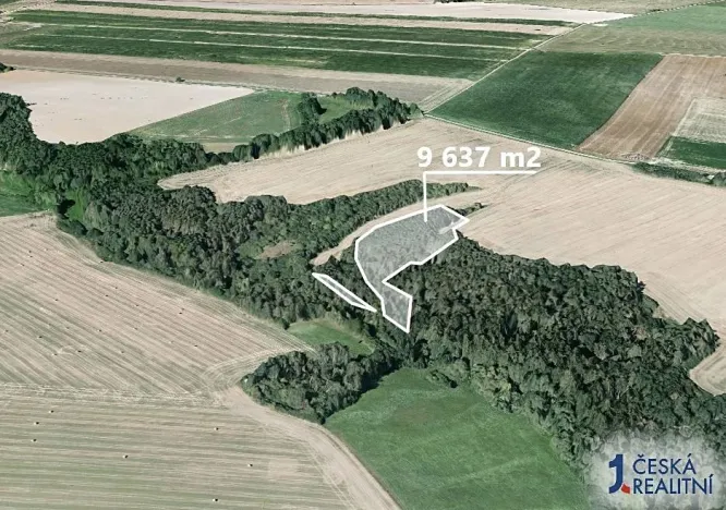 Prodej podílu lesa, Kaceřov, 4818 m2