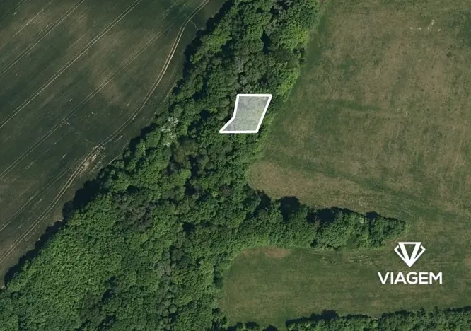 Prodej lesa, Zlámanec, 663 m2