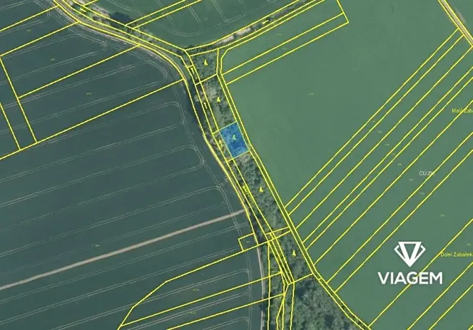 Prodej lesa, Počenice-Tetětice, 630 m2