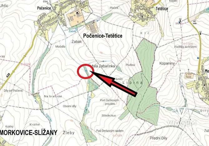 Prodej lesa, Počenice-Tetětice, 630 m2