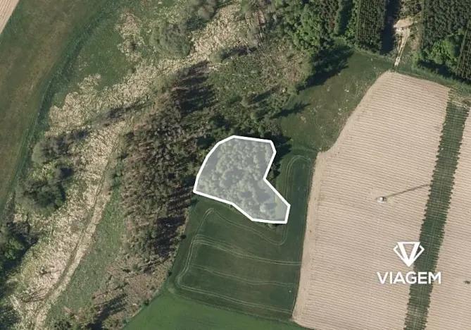 Prodej podílu lesa, Suchá, 1564 m2