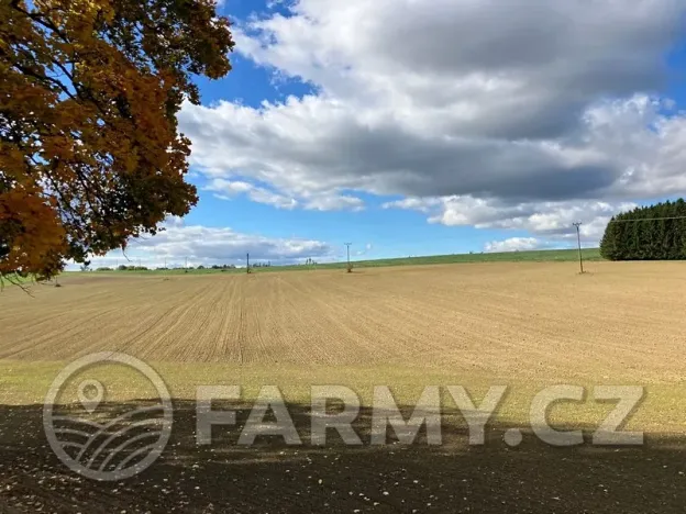 Prodej pole, Arneštovice, 51160 m2