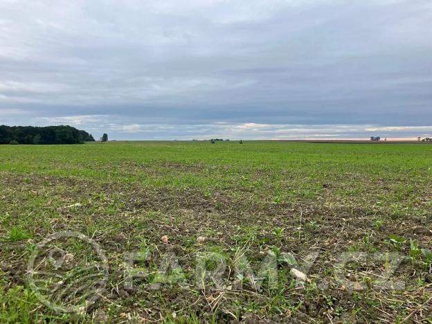 Prodej podílu pole, Dolní Roveň, 62359 m2