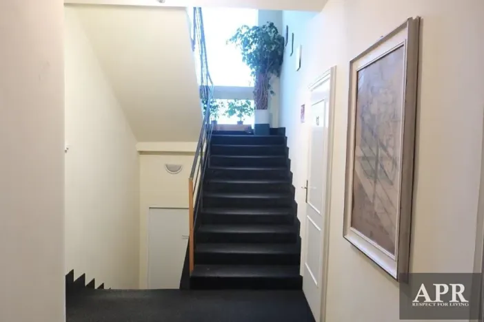 Pronájem bytu 1+kk, Uherský Brod, Mariánské nám., 25 m2